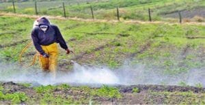 Monsanto. Agroquímicos y una salud cada vez más&hellip;