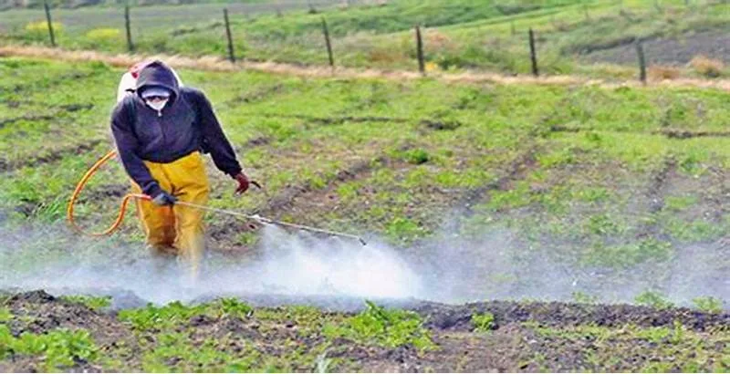 Monsanto. Agroquímicos y una salud cada vez más amenazada