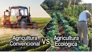 Agricultura industrial vs. Agricultura agroecológica