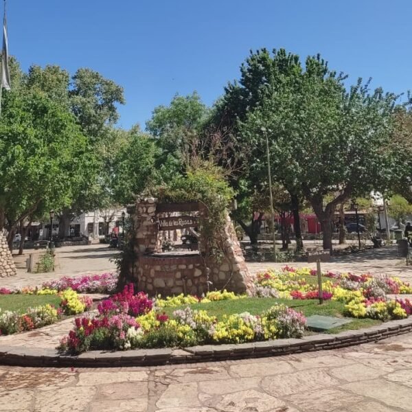 Historia de Villa de Las Rosas