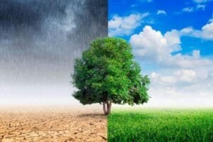 ¿Clima o tiempo? ¿Qué palabra corresponde usar?